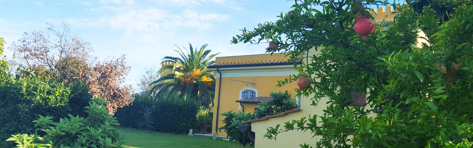 L'Agriturismo Risponde - FAQ a cura dell'Agriturismo Villa Graziani di Vada, Livorno, Toscana