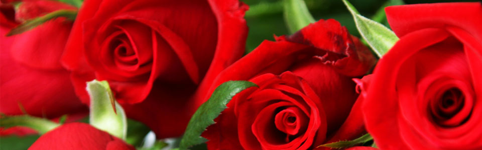 Offerta Speciale, Last-Minute per San Valentino 2015 in Agriturismo in Toscana: soggiorno 2 notti per 2 persone con cena romantica in omaggio sabato 14 febbraio - Agriturismo Villa Graziani a Vada