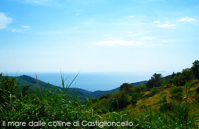 Il mare azzurro visto dalle colline primaverili di Castiglioncello - Livorno, Toscana
