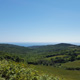 Le colline e il mare di Quercianella - Costa degli Etruschi, Livorno