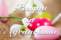 Pasqua 2016 in Toscana - Agriturismo Villa Graziani, Vada, Livorno, Costa degli Etruschi