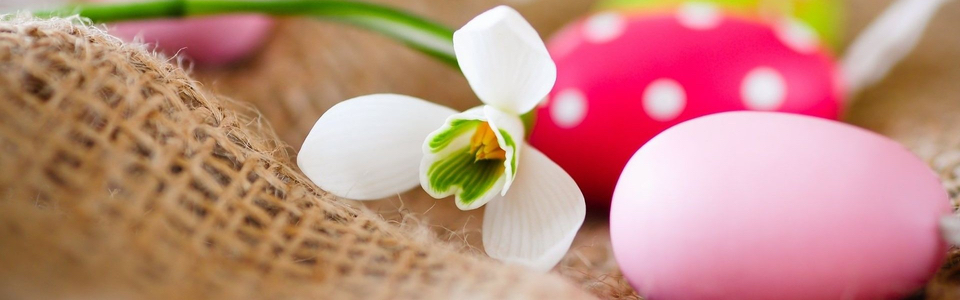 Offerta Speciale, Last-Minute per weekend Pasqua 2016 in Agriturismo in Toscana vicino al mare: soggiorno 3 notti per 2 persone con pranzo pasquale in omaggio - Agriturismo Villa Graziani a Vada