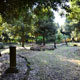 Un'area del Parco con alcuni resti archeologici - Agriturismo Villa Graziani